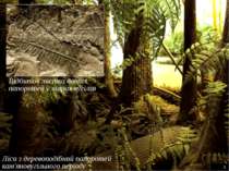 Ліси з деревоподібний папоротей кам'яновугільного періоду 3 Відбиток листка д...
