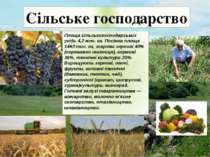Сільське господарство Площа сільськогосподарських угідь 4,2 млн. га. Посівна ...