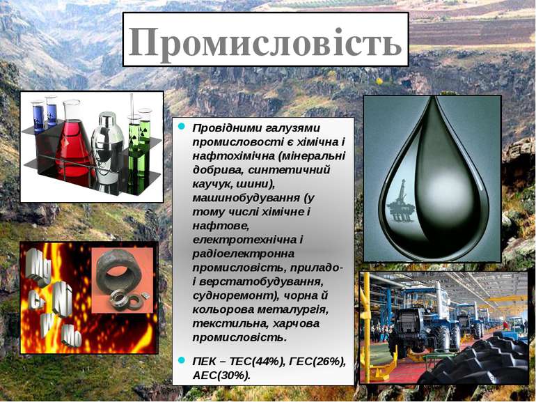 Провідними галузями промисловості є хімічна і нафтохімічна (мінеральні добрив...