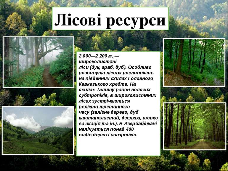 Лісові ресурси 2 000—2 200 м, — широколистяні ліси (бук, граб, дуб). Особливо...