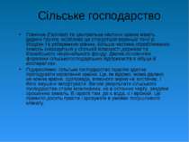 Сільське господарство Північна (Галілея) та центральна частини країни мають р...