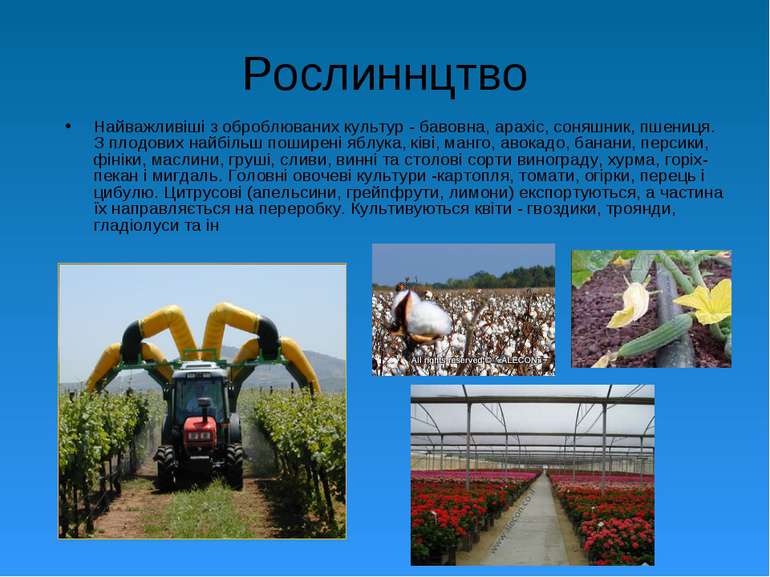 Рослиннцтво Найважливіші з оброблюваних культур - бавовна, арахіс, соняшник, ...