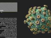 Етіологія Збудник поліомієліту (poliovirus hominis) належить до групи пікорна...