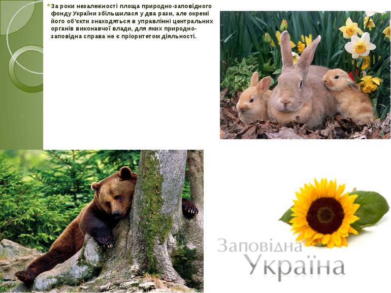 За роки незалежності площа природно-заповідного фонду України збільшилася у д...