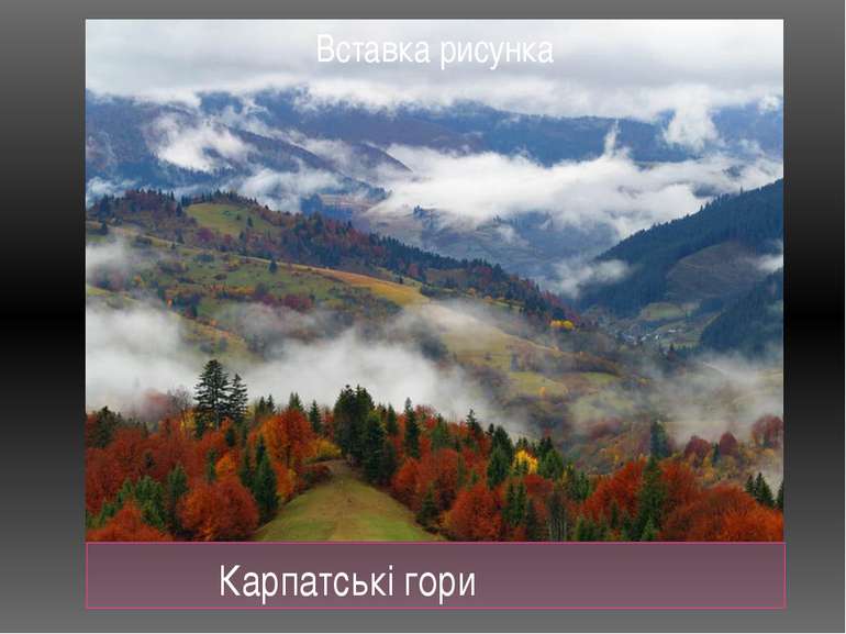 Карпатські гори