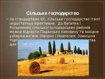 Сільське господарство За стандартами ЄС, сільське господарство Італії недоста...