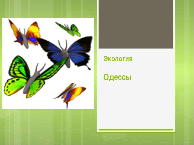 Экология Одессы
