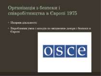 Організація з безпеки і співробітництва в Європі 1975 Напрям діяльності: Виро...