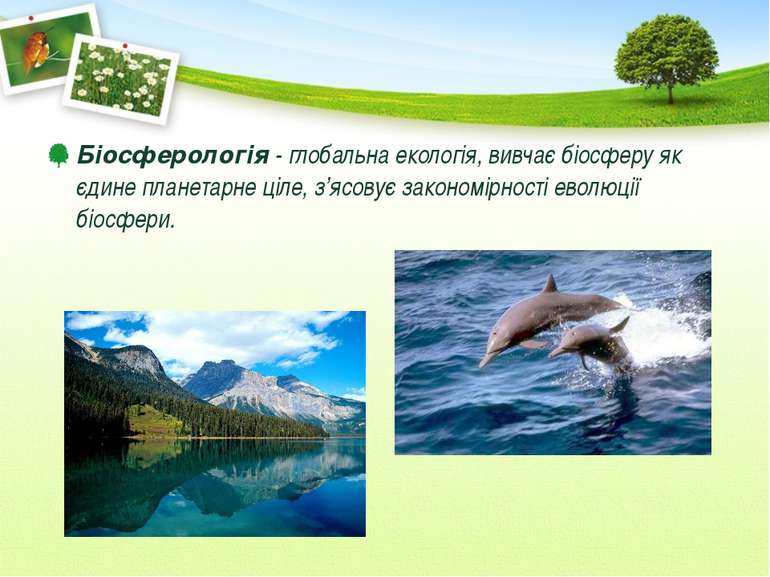 Біосферологія - глобальна екологія, вивчає біосферу як єдине планетарне ціле,...