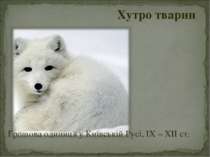 Хутро тварин Грошова одиниця у Київській Русі, ІX – XІІ ст.