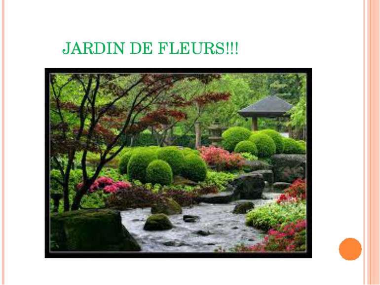 JARDIN DE FLEURS!!!