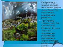 Ель Греко зрідка малював краєвиди міста.Завжди це було тільки Толедо .Він баг...