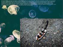 Особлива проблема - поширення пластикового сміття на поверхні морів і в смузі...