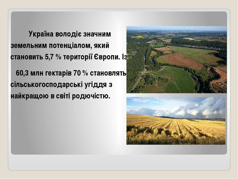 Україна володіє значним земельним потенціалом, який становить 5,7 % території...