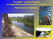 Те терів — річка в Україні, на Придніпровській височині і Поліссі. Права прит...