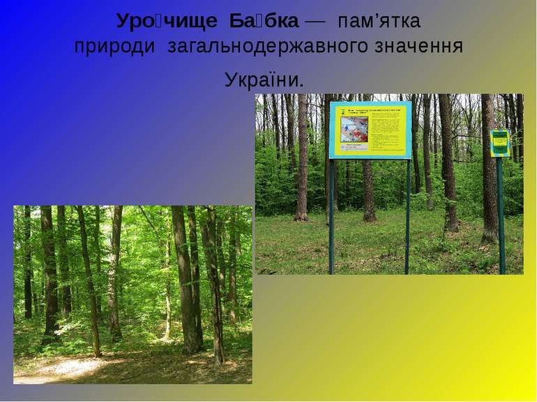 Уро чище  Ба бка — пам’ятка природи  загальнодержавного значення України.