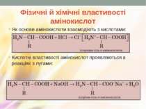 Фізичні й хімічні властивості амінокислот Як основи амінокислоти взаємодіють ...