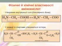 Фізичні й хімічні властивості амінокислот Утворення внутрішньої солі (біполяр...