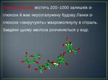 Ланцюг амілози містить 200–1000 залишків α-глюкози й має нерозгалужену будову...
