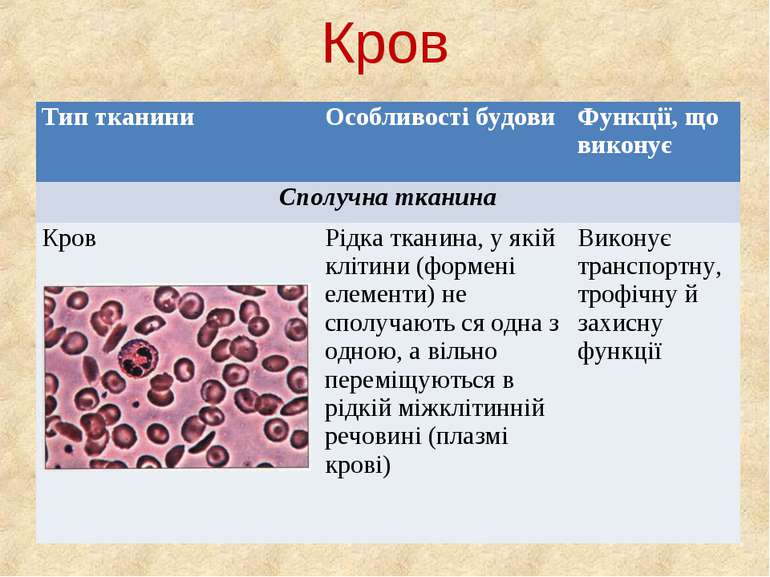 Кров Тип тканини Особливості будови Функції, що виконує Сполучна тканина Кров...