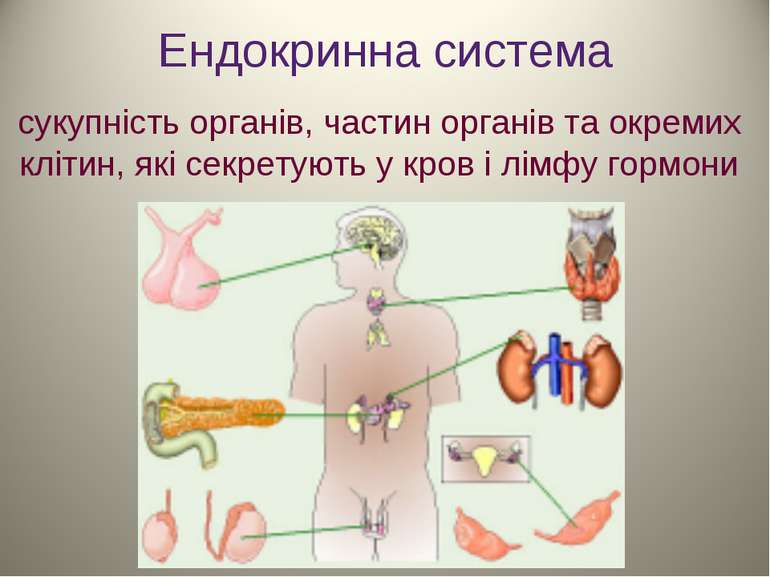 Ендокринна система сукупність органів, частин органів та окремих клітин, які ...