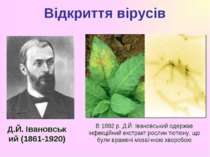 Відкриття вірусів Д.Й. Івановський (1861-1920) В 1892 р. Д.Й. Івановський оде...