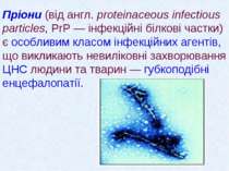 Пріони (від англ. proteinaceous infectious particles, PrP — інфекційні білков...