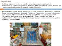 Виробники Найбільш відомими країнами-виробниками східних килимів є Анатолія (...