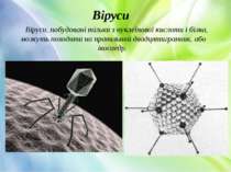 Віруси, побудовані тільки з нуклеїнової кислоти і білка, можуть походити на п...