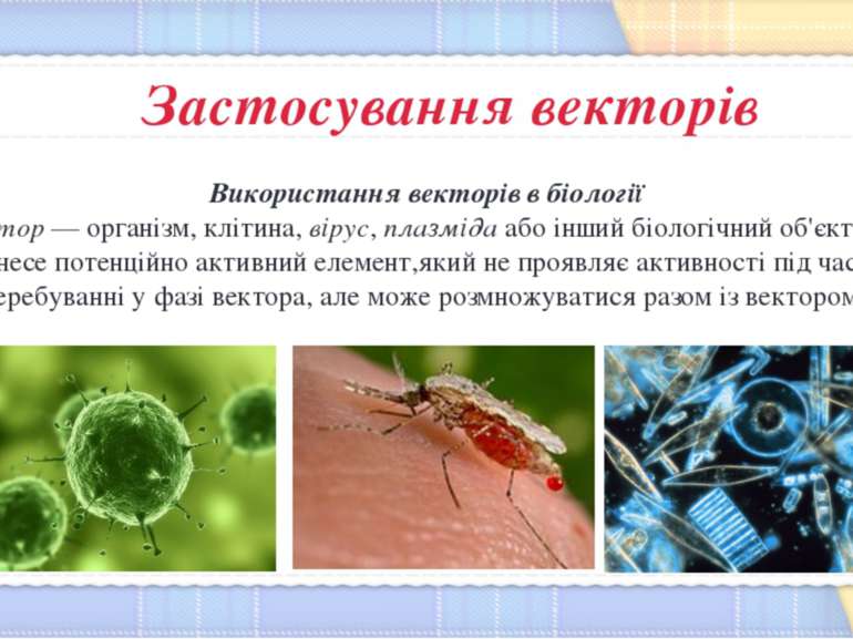 Використання векторів в біології Вектор — організм, клітина, вірус, плазміда ...