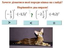 Хочете дізнатися якої породи кішка на слайді? Порівняйте два вирази! > < =