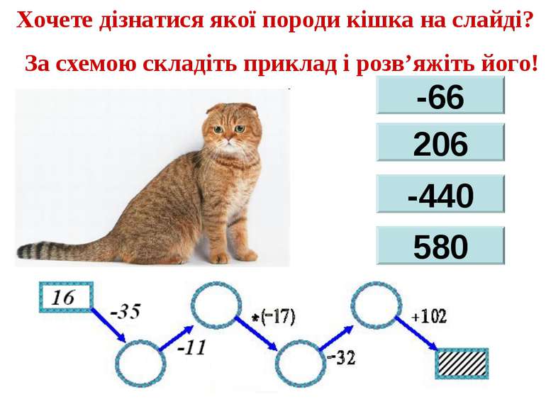 Хочете дізнатися якої породи кішка на слайді? За схемою складіть приклад і ро...