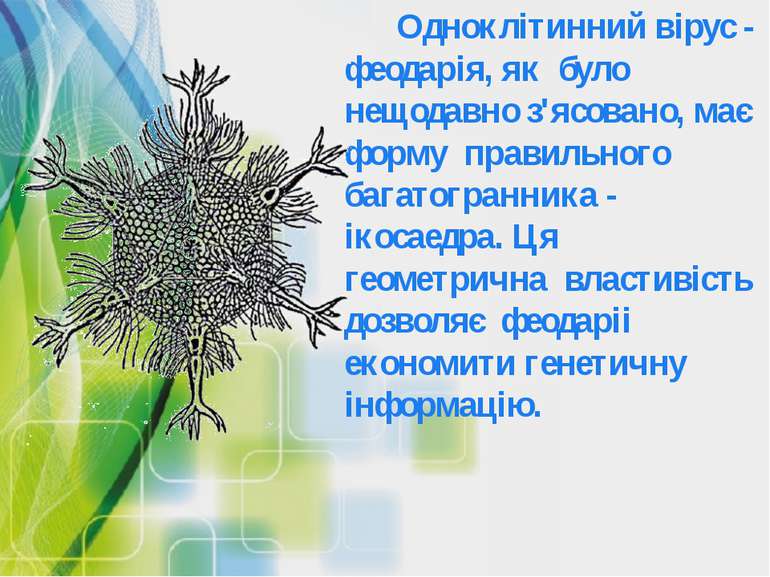 Одноклітинний вірус - феодарія, як було нещодавно з'ясовано, має форму правил...