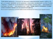 Лісові пожежі-виникають у результаті дії світлового випромінювання ядерного в...