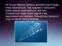 Як тільки тварина зробить великий ковток води, отвір зачиняється. Тоді подовж...