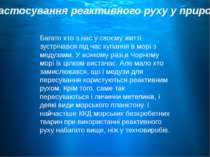 Застосування реактивного руху у природі Багато хто з нас у своєму житті зустр...