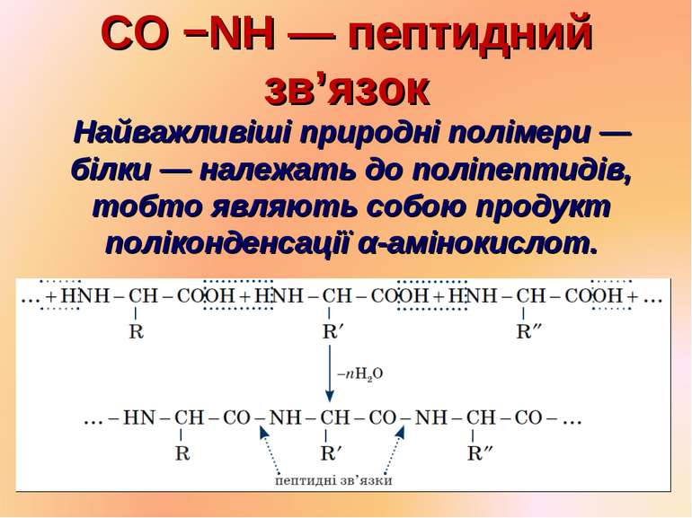 CO −NH — пептидний зв’язок Найважливіші природні полімери — білки — належать ...