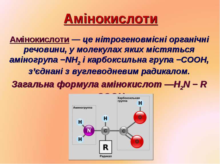 Амінокислоти Амінокислоти — це нітрогеновмісні органічні речовини, у молекула...