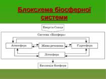 Блоксхема біосферної системи