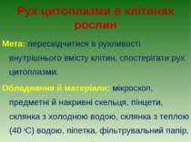 Рух цитоплазми в клітинах рослин Мета: пересвідчитися в рухливості внутрішньо...