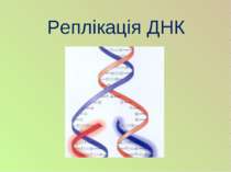 Реплікація ДНК