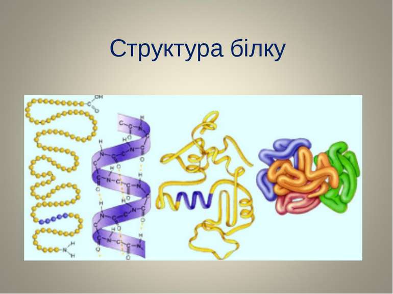 Структура білку