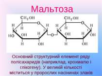 Мальтоза Основний структурний елемент ряду полісахаридів (наприклад, крохмалю...