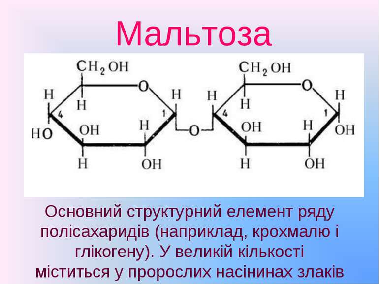 Мальтоза Основний структурний елемент ряду полісахаридів (наприклад, крохмалю...