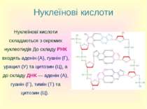 Нуклеїнові кислоти Нуклеїнові кислоти складаються з окремих нуклеотидів До ск...