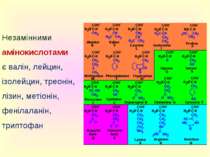 Незамінними амінокислотами є валін, лейцин, ізолейцин, треонін, лізин, метіон...