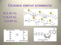Основні хімічні елементи N (1,25 %), P (0,24 %), S (0,06 %)