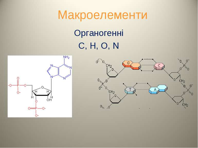 Макроелементи Органогенні C, H, O, N