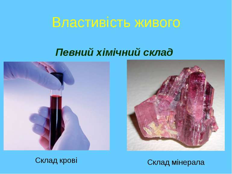 Властивість живого Певний хімічний склад Склад крові Склад мінерала