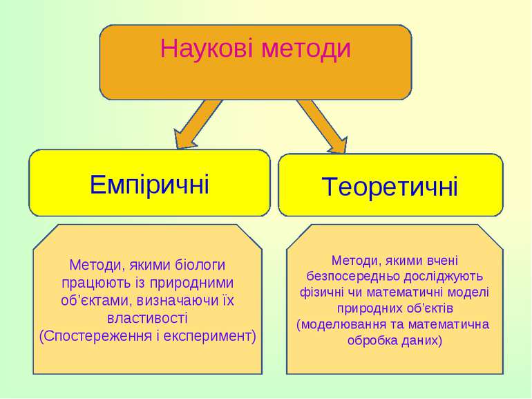 Наукові методи Емпіричні Теоретичні Методи, якими біологи працюють із природн...